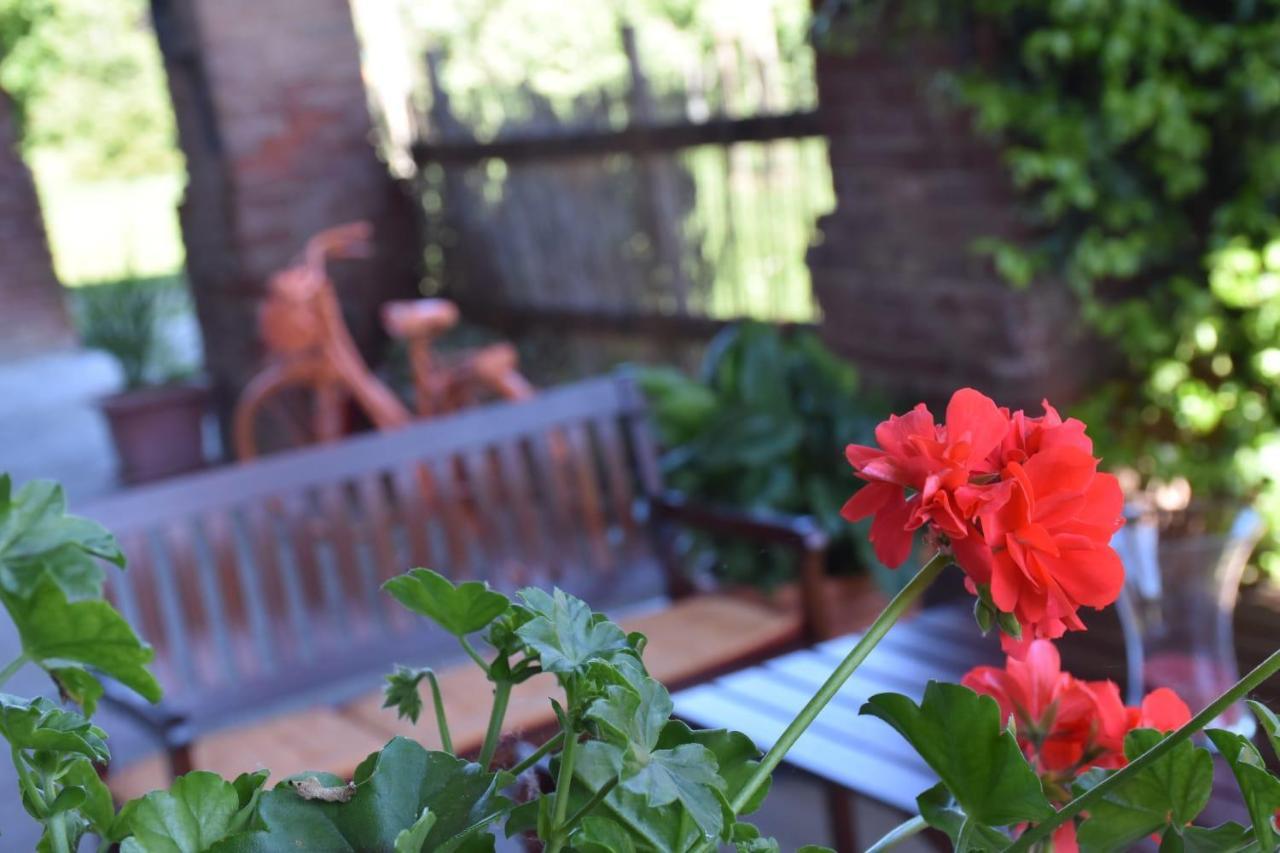 La Casa Di Enzo Bed & Breakfast Lequio Tanaro Bagian luar foto